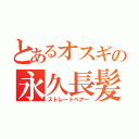 とあるオスギの永久長髪（ストレートヘアー）