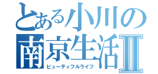 とある小川の南京生活Ⅱ（ビューティフルライフ）