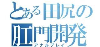 とある田尻の肛門開発（アナルプレイ）