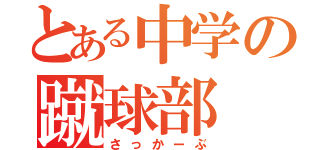 とある中学の蹴球部（さっかーぶ）