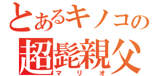 とあるキノコの超髭親父（マリオ）