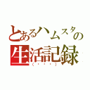 とあるハムスターの生活記録（（⊙ө⊙））