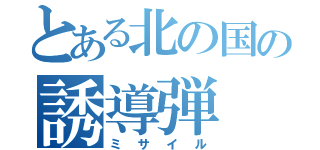 とある北の国の誘導弾（ミサイル）