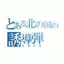 とある北の国の誘導弾（ミサイル）