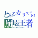 とあるカリスマの崩壊王者（シールドブレイカー）