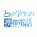 とある学生の携帯電話（ガラパゴス）