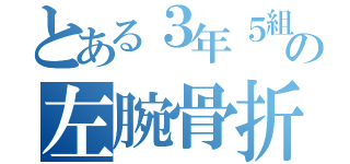 とある３年５組の左腕骨折（）