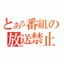 とある番組の放送禁止（ピー）