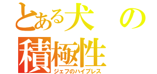 とある犬の積極性（ジェフのハイプレス）