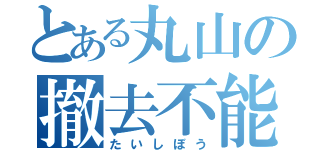 とある丸山の撤去不能（たいしぼう）