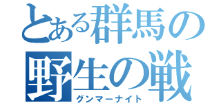 とある群馬の野生の戦士（グンマーナイト）