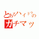 とあるハイドラ使いのガチマッチ（）