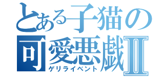 とある子猫の可愛悪戯Ⅱ（ゲリライベント）