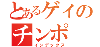 とあるゲイのチンポ（インデックス）