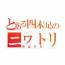 とある四本足のニワトリは（存在する）