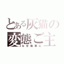 とある灰猫の変態ご主人様（なぜ執事に）