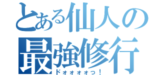 とある仙人の最強修行Ⅱ（ドォォォォっ！）