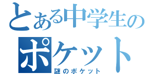 とある中学生のポケット（謎のポケット）