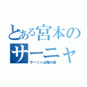 とある宮本のサーニャ萌え（サーニャは俺の嫁）