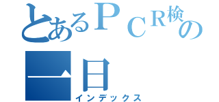 とあるＰＣＲ検査の一日（インデックス）