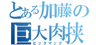 とある加藤の巨大肉挟（ビックマック）