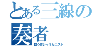 とある三線の奏者（初心者シャミセニスト）