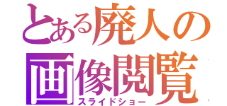 とある廃人の画像閲覧（スライドショー）