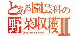 とある園芸科の野菜収穫Ⅱ（Ｖｅｇｅｔａｂｌｅ ｈａｒｖｅｓｔ）