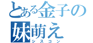 とある金子の妹萌え（シスコン）