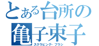 とある台所の亀子束子（スクラビング・ブラシ）