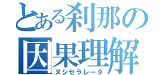 とある刹那の因果理解（ヌシセラレータ）