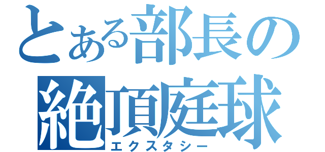 とある部長の絶頂庭球（エクスタシー）