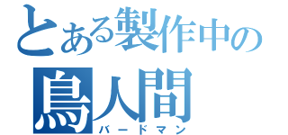 とある製作中の鳥人間（バードマン）