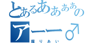 とあるあああああのアーー♂（掘りあい）