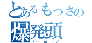 とあるもっさの爆発頭（（＝゜ω゜）ノ）