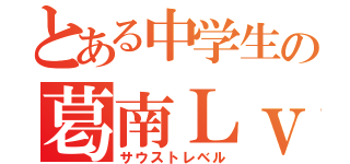 とある中学生の葛南Ｌｖ（サウストレベル）