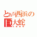 とある西浜の巨大蛇（久保康明）