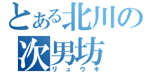 とある北川の次男坊（リュウキ）