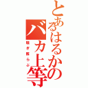 とあるはるかのバカ上等（騒ぎ隊らぶ）