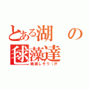 とある湖の毬藻達（絶滅しそう（汗）