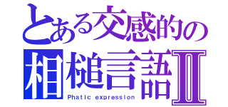 とある交感的の相槌言語Ⅱ（Ｐｈａｔｉｃ ｅｘｐｒｅｓｓｉｏｎ）