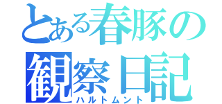 とある春豚の観察日記（ハルトムント）