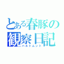 とある春豚の観察日記（ハルトムント）