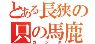 とある長狭の只の馬鹿（カンタ）