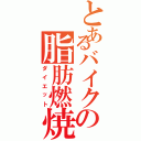 とあるバイクの脂肪燃焼（ダイエット）