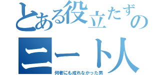 とある役立たずのニート人生（何者にも成れなかった男）