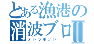 とある漁港の消波ブロックⅡ（テトラポッド）