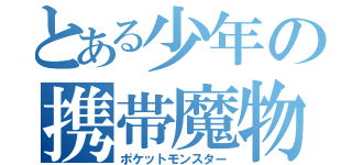 とある少年の携帯魔物（ポケットモンスター）