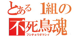 とある１組の不死鳥魂（フシチョウダマシイ）