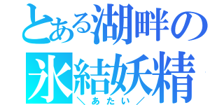 とある湖畔の氷結妖精（＼あたい／）